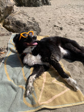 Load image into Gallery viewer, Wavy Blades