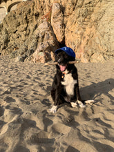 Load image into Gallery viewer, Plunge Cap