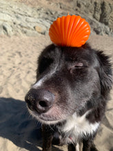 Load image into Gallery viewer, Seashell Candles